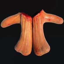 #RemHtml($!{product.content.wareName})