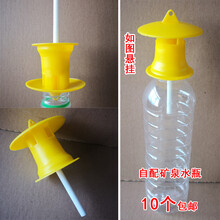 果蝇诱捕器  果蝇诱捕器果实蝇诱捕器果蝇药水瓜果蔬菜防虫诱虫性诱剂药水针蜂 10个