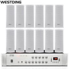 威斯汀（WESTDING) 5分区控制定压功放 防水壁挂音柱 音响套装 公共广播背景音乐音箱ZH2720X12+PA-700M