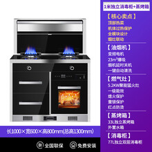 智能集成灶家用体感蒸烤箱臭氧消毒柜洗碗机一体灶官方 标努 1米独立消毒柜+蒸烤箱 【双电机】 液化气  左右排烟