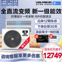 酷风（Coolfree）家用商用全直流变频4匹/5匹6匹/7匹中央空调风管机小多联裸机不包安装和铜管 80 小4匹 一拖二 新1级能效 全直流变频 裸机