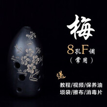 埙F乐器陶埙专业十孔初学者演奏入门10八8孔古熏陨G调勋毕业季礼物定制 8孔F调-梅-左起(常用)