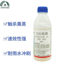 沃德伊诺 70%马拉硫磷 蚧壳虫食心虫蚜虫飞虱蓟马叶蝉黏虫盲蝽蟓杀虫剂 300g