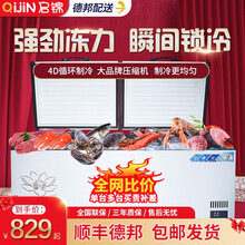 启锦 2021升级款商用冰柜卧式冷柜岛柜展示柜单温冷藏保鲜冷冻双温大容量家用电冰箱铜管制冷 409升级款单温铜管数显