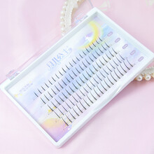 月儿公主假睫毛女分段式朵毛单簇鱼尾仙子毛嫁接C翘自然仙女A型毛施夫 仙女款五排混合 配胶水+小镊子