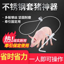 猪博士套猪神器猪用保定器猪套子兽用抓猪套嘴器助产器钢丝绳 养猪设备 不锈钢套猪器（1个装）