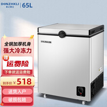 东之开立小冰柜家用小型保鲜冷柜迷你卧式冰箱冷藏冷冻转换柜储奶母乳柜 65升加厚款【高性价比，全国联保】