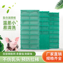 耐尔尼 复合漏粪板猪用母猪产床仔猪保育床定位栏配件漏粪地板育肥猪猪圈设备 全漏 110*60cm