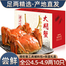 【10只装】大闸蟹全公母六月黄螃蟹镇海鲜水产生鲜 全公蟹：4.5-4.9两(10只)