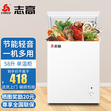 志高（CHIGO）【送货上门】冰柜家用冷柜 冷藏冷冻转换冰柜卧式小冰柜 保存母乳小冰箱 58升【省电款 一级能效】
