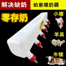 兽用奶妈机小猪补奶器羊羔喂奶神器仔猪奶瓶小羊奶壶哺乳养殖设备 6位喂奶器
