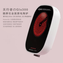 日本岩房 旅行家Gls200极简随身迷你小号电陶茶炉铁壶陶壶玻璃茶壶煮茶器便携旅行茶具茶大师 天行者Gls300豪华版1350w