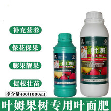 叶姆果树柑橘葡萄李子专用保花保果防落素微量元素水溶料植物生长调节剂 400毫升