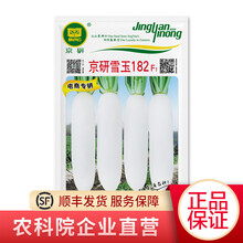 京研白萝卜沙窝萝卜种子水果萝卜 心里美四季播种高产抗病蔬菜种子种籽雪玉182 10克 京研雪玉182（10克）1袋