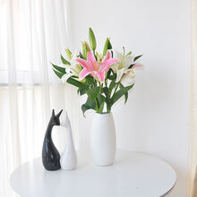 磐阙 上新顺丰春节云南香水百合鲜花家庭水养鲜切花供佛送礼办公室鲜花新品 随机颜色百合（4-5支）15朵