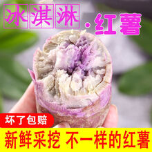 老农夫 冰淇淋红薯新鲜红蜜薯批发甜糖心地瓜小红薯红心沙地一点红番薯 5斤中果