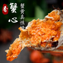 特大正宗大闸蟹新鲜活螃蟹现货公母蟹随机螃蟹 大闸蟹4+4（2.0-1.5两）实惠装