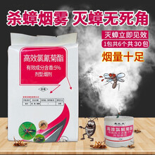 康医生卫生杀蟑烟剂除蟑螂药家用强力灭除蚊蝇子蜘蛛臭虫跳蚤飞虫书虱烟雾熏一窝端快速杀虫 整箱30包*180枚
