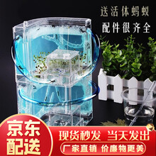 趣驭 蚂蚁城堡新奇特蚂蚁工坊玩具可以装养蚂蚁观察工具宠物益智玩具 双层蚂蚁城堡六一儿童节礼物 双层蓝胶蚂蚁城堡 【带蚂蚁】
