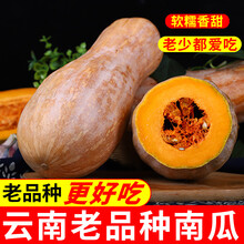 老南瓜云南热带南瓜新鲜批发黄南瓜板栗味 6斤