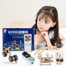 益米 儿童科学实验套装小学生steam玩具男孩女孩  手工制作木质积木物理实验玩具（6件套）
