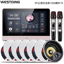 威斯汀（WESTDING）XT12智能家庭背景音乐主机系统套装家庭影院音响组合无线蓝牙吸顶音响喇叭 XT12主机+918喇叭×6