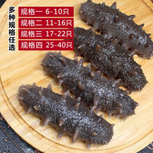 即食海参刺参单只装大连辽参礼盒年货 6斤家庭装 11-16只/斤