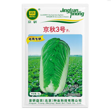 北京农科院京研京秋3号大白菜种子秋播中晚熟蔬菜种籽露地大棚优质高产抗病
