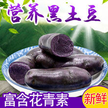 黑土豆新鲜蔬菜黑金刚农家马铃薯黑洋芋黑美人现挖 红皮红心大果5斤装(2两以上)