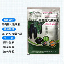 茄子叶面肥 膨大素 茄子黑又亮 茄子专用叶面肥 增产 国光益农 30克/10袋