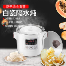 三源隔水炖迷你电炖盅1.5升陶瓷内胆家用电炖锅炖汤锅白瓷炖燕窝定时预约一锅一胆 1.5L白瓷