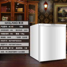 90L冰吧茶叶柜冷藏柜保鲜柜恒温酒红酒家用客厅单开门小冰箱迷你海牌 银色单冷藏--60L