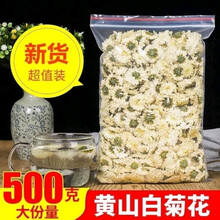 伟博白菊花茶500g黄山贡菊花250g新花另有杭白菊胎菊 20g 特级-白菊花 1