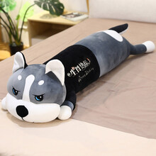 网红同款可爱哈士奇毛绒玩具布娃娃超软安抚玩偶长条抱枕公仔狗女生床上夹腿睡觉男生款生日礼物情人节送女友 圆眼-(生日快乐) 全长约80厘米(独立内胆 可拆洗)