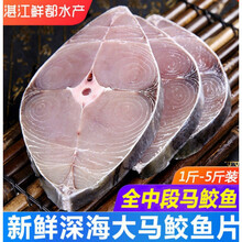 马鲛鱼新鲜全中段湛江海鲜鲅鱼马交鱼冰冻新鲜海南马跤鱼湛江特产 食三舍 5斤装【精选全中段马鲛鱼】
