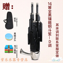 紫竹笙乐器 专业初学者14 17 21 方笙簧圆笙降B降CED调笙乐器 14簧全黑镶箍铜斗笙默认D调可定