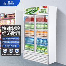 【雪花官方店】饮料柜双开门展示柜冷藏水果鲜花保鲜柜啤酒柜立式便利店冰箱单门直冷双门风冷展示柜 双门直冷展示柜