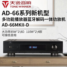 天逸（Winner）AD-66MKII甲类功放机高保真发烧家用HIFI音箱无源音响功放功率放大器 天逸AD-66MKII-D