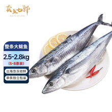 卖鱼七郎 青岛海捕大鲅鱼整条净重5斤-5.6斤（5-8条）马鲛鱼海鲜生鲜鱼类