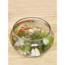 鱼缸透明玻璃办公桌创意水培圆形圆球圆型小型乌龟迷你桌面小鱼缸 20盆(裸缸)