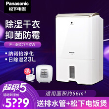 松下（Panasonic）进口除湿机 抽湿机 日除湿23升家用别墅客厅地下室静音省电纳诺怡净化功能 F-46C7YXW