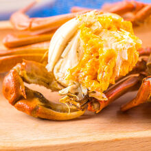 【活蟹】全母大闸蟹鲜活螃蟹活物特大现捕六月黄海鲜水产蟹类 安德兰 全母蟹2.5-2.9两12只