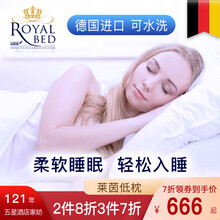德国obb royal bed鹅绒枕羽绒进口五星级酒店枕头老人枕芯【升级Laiyin可水洗 单只低枕 白色 48x74cm