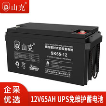 山克UPS电源电池免维护铅酸蓄电池 12V65AH