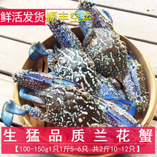 兰花蟹 价格 图片 品牌 怎么样 京东商城