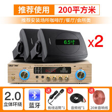 先科 P6 壁挂音响无线蓝牙功放重低音音响套装店铺专用音箱室内商用超市餐厅挂壁式奶茶店服装店挂墙喇叭 定阻2.0功放+6.5寸重低音壁挂*2+有线话筒
