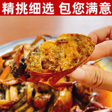 大闸蟹公母螃蟹鲜活六月黄超特大活体生鲜食材  罗菲迪新 【2.5-2.0两】 6只装
