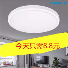 LED圆形吸顶灯客厅卧室灯现代简约客厅书房阳台餐厅现代灯具 全白  直径20cm白光24瓦