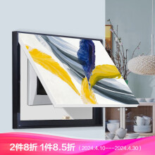 述说电表箱装饰画配电箱挂画非推拉液压电箱电闸遮挡画北欧餐厅壁画 彩色羽毛 50x40(可容纳40x30cm)金色画框