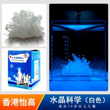 EASTCOLIGHT小学生化学实验科普玩具儿童stem科技小制作diy自种水晶生长 36121 白色水晶